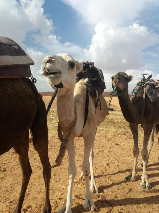 Hotel Nomad House Merzouga Exterior foto